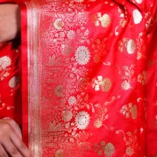 Photo Album 2 - 00000003_result_5